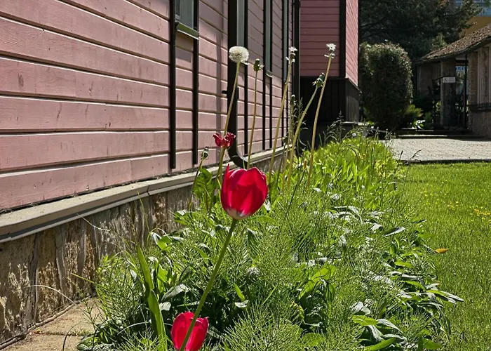 Pansionaat Valentina gostionica